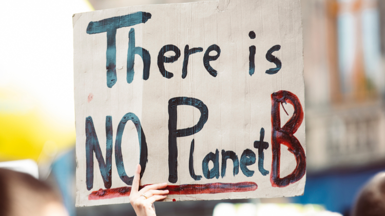 There is no planet B Canva stock image